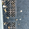 Anti Subsidence Grate